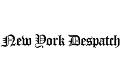 New York Despatch logo
